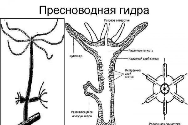 Кракен вход магазин